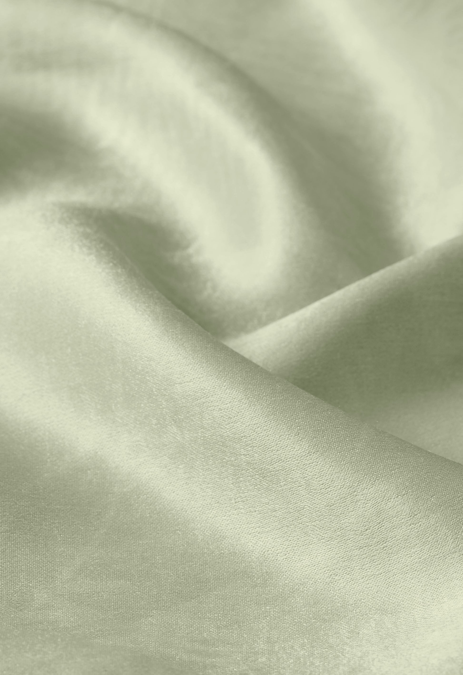 Chemise imprimée | Luzerne à imprimé palmier